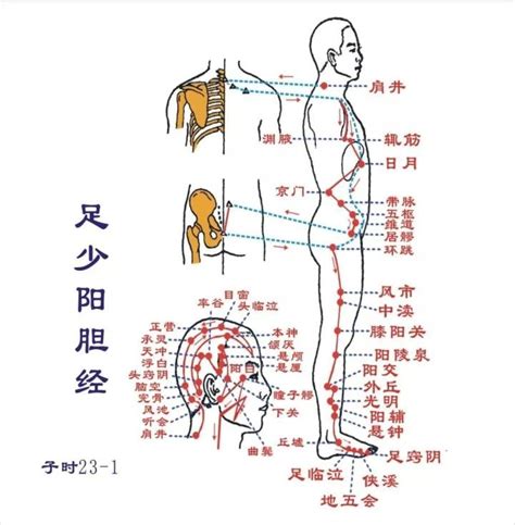 源穴|經絡系統的特定穴